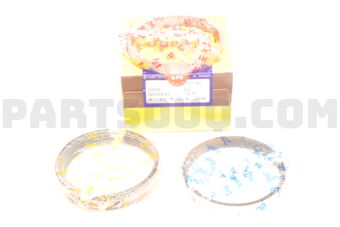 SDT10163ZZ0075 RING PISTON  075 1HZ