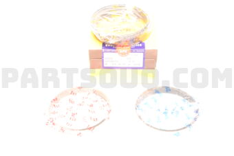 SDT10163ZZ0075 RING PISTON  075 1HZ