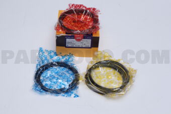 SDT10163ZZ100 RING PISTON  100 1HZ