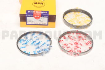 SDT10175ZY050 PISTON RING SET