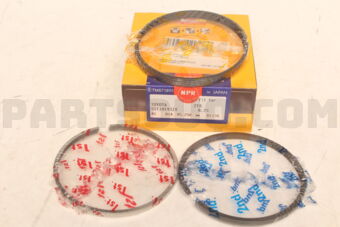 SDT10193ZY0025 RING PISTON SET 025 2TR
