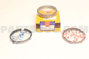 SJT10070ZZSTD PISTON RING SET