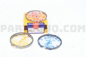 SWF20043ZZSTD PISTON RING SET