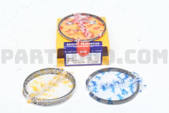 SWF20043ZZSTD PISTON RING SET