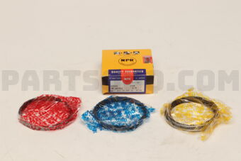 SWF20070ZZ0025 RING PISTON SET 025 EZ30