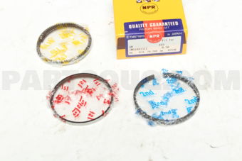 SWG10033ZZ050 RING PISTON