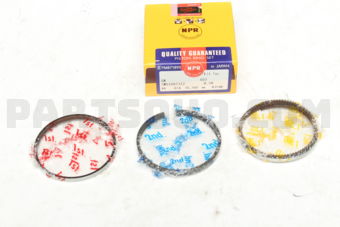 SWG10033ZZ050 RING PISTON