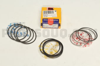 SWG10054ZZSTD RING PISTON SET STD E-TECII 1.6