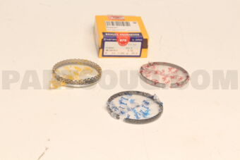 SWG30030ZZ0050 RING PISTON  050