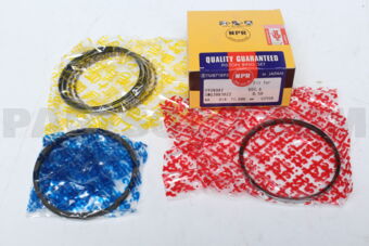 SWG30030ZZ050 PISTON RING SET