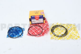 SWG30030ZZ050 PISTON RING SET