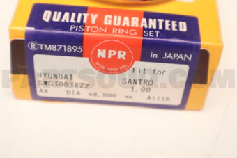 SWG30038ZZ100 RING PISTON 100 G4HG