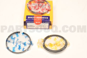 SWG30038ZZ100 RING PISTON 100 G4HG