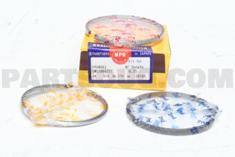 SWG30042ZZ025 PISTON RING 025