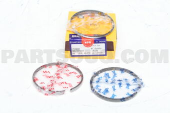 SWG30042ZZ025 PISTON RING 025