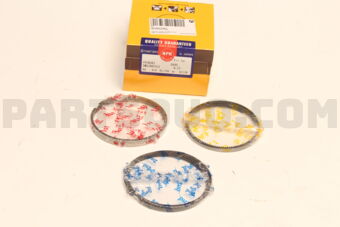 SWG30055ZZ0025 RING PISTON 025 G6DB