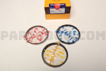 SWG30055ZZ0050 RING PISTON 050 G6DB