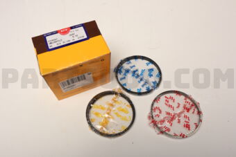 SWG30055ZZ0050 RING PISTON 050 G6DB