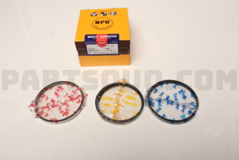 SWG30055ZZ0050 RING PISTON 050 G6DB