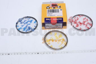 SWH30437ZZSTD PISTON RING SET