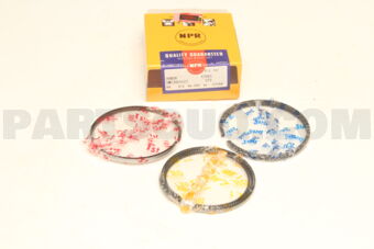 SWH30454ZZSTD PISTON RING SET