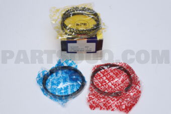 SWN30091ZZ0025 RING PISTON  025 RB30