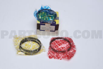 SWN30091ZZ0025 RING PISTON  025 RB30