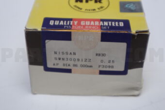 SWN30091ZZ0025 RING PISTON  025 RB30