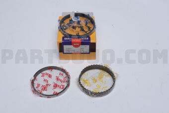 SWN30091ZZ0050 RING PISTON  050 RB30