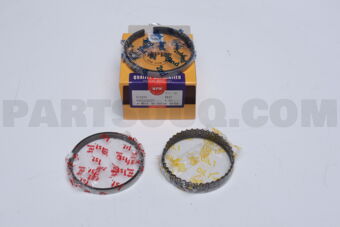 SWN30091ZZ0050 RING PISTON  050 RB30