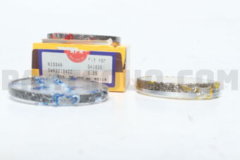 SWN30104ZZ0025 RING PISTON  025 GA16S