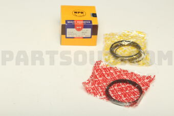 SWN30157ZZ0025 RING PISTON  025 RB20DE