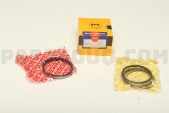 SWN30157ZZ0025 RING PISTON  025 RB20DE