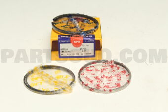 SWN30189ZY0025 RING PISTON SET 025 QR25DE THI
