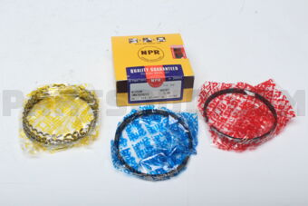 SWN30202ZZ100 RING PISTON 100 NA20S