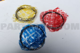 SWN30202ZZ100 RING PISTON 100 NA20S