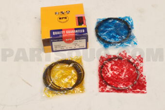 SWS20106ZZ0050 RING PISTON  050 F10A