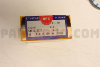 SWS20142ZZ0025 RING PISTON SET 025 G16A