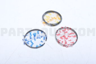 SWS20190ZZ0025 RING PISTON  025 G16U