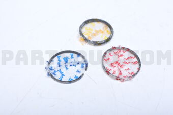 SWS20190ZZ0025 RING PISTON  025 G16U