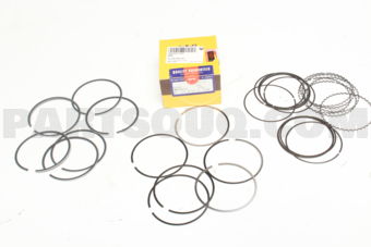 SWS20207ZZ050 PISTON RING 050