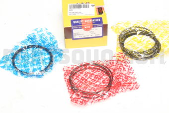 SWS20207ZZ050 PISTON RING 050