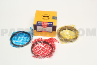 SWT10079ZZ100 PISTON RING SET