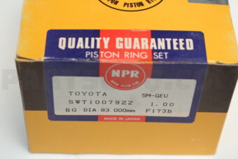 SWT10079ZZ100 PISTON RING SET