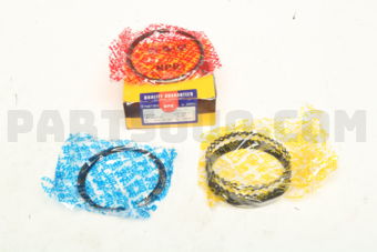 SWT10103ZZ050 PISTON RING SET