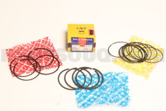SWT10109ZZ050 PISTON RING SET