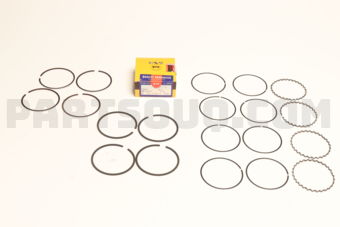 SWT10109ZZ050 PISTON RING SET