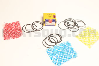 SWT10109ZZ050 PISTON RING SET
