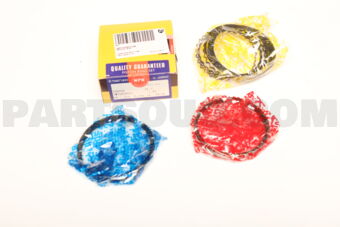 SWT10109ZZ100 RING PISTON  100 4KE