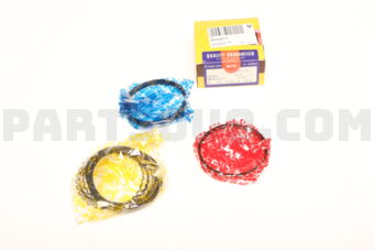 SWT10109ZZ100 RING PISTON  100 4KE